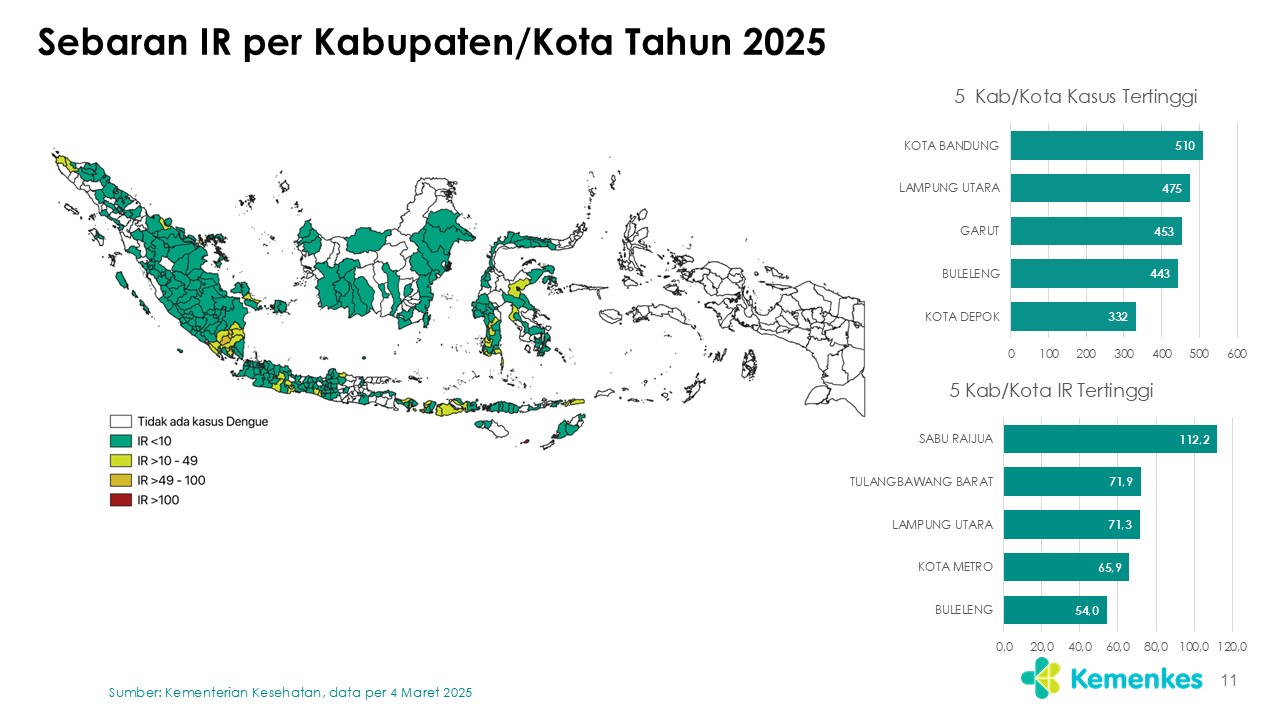Slide11