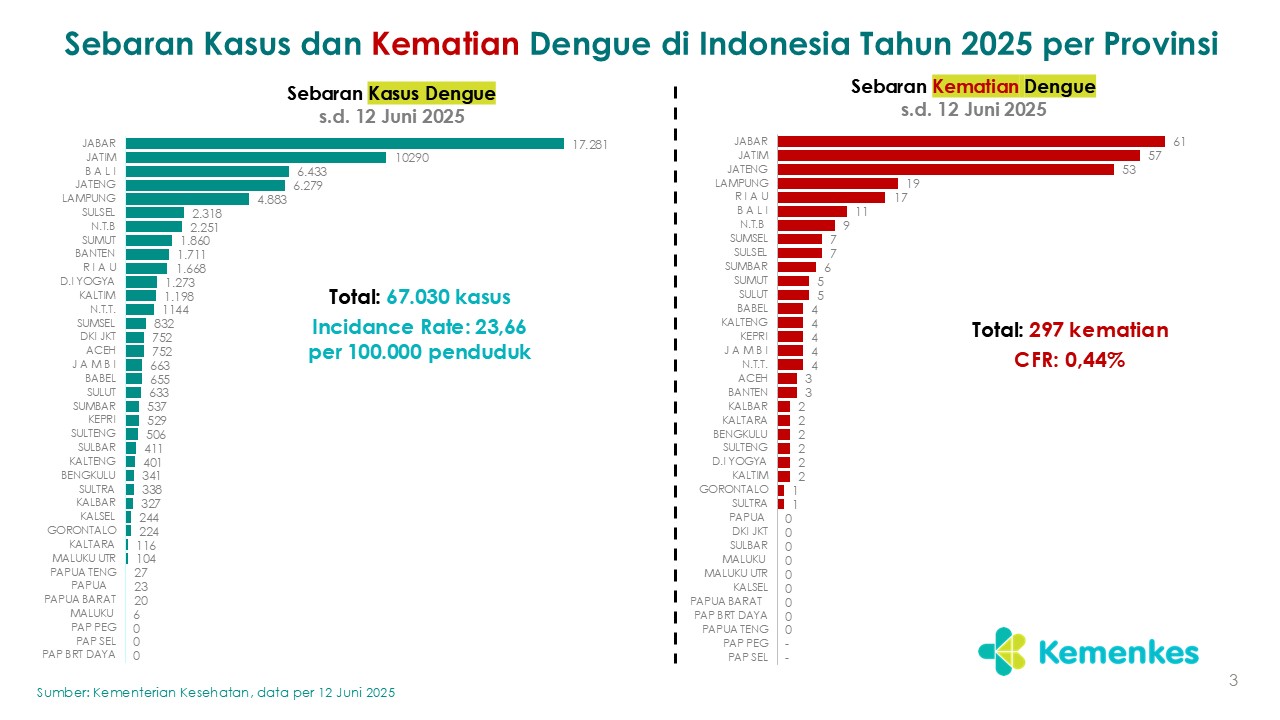 Slide3